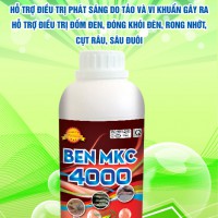BEN MKC 4000