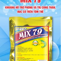 MIX 79